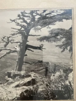 Photographie tirage argentique collection 1950