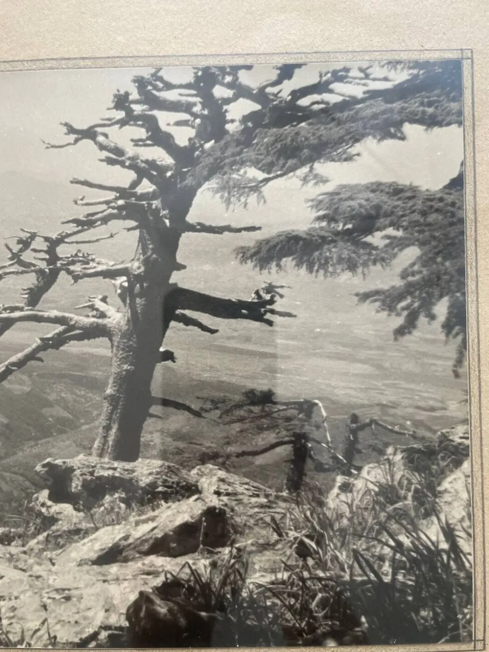 Photographie tirage argentique collection 1950