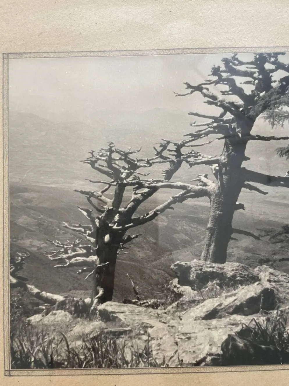Photographie tirage argentique collection 1950