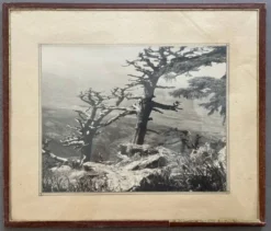 Photographie tirage argentique collection 1950