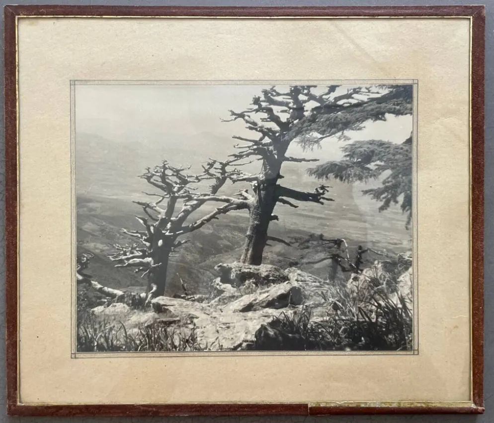 Photographie tirage argentique collection 1950