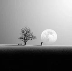 Photo nature