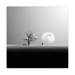 Photo nature