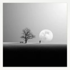 Photo nature