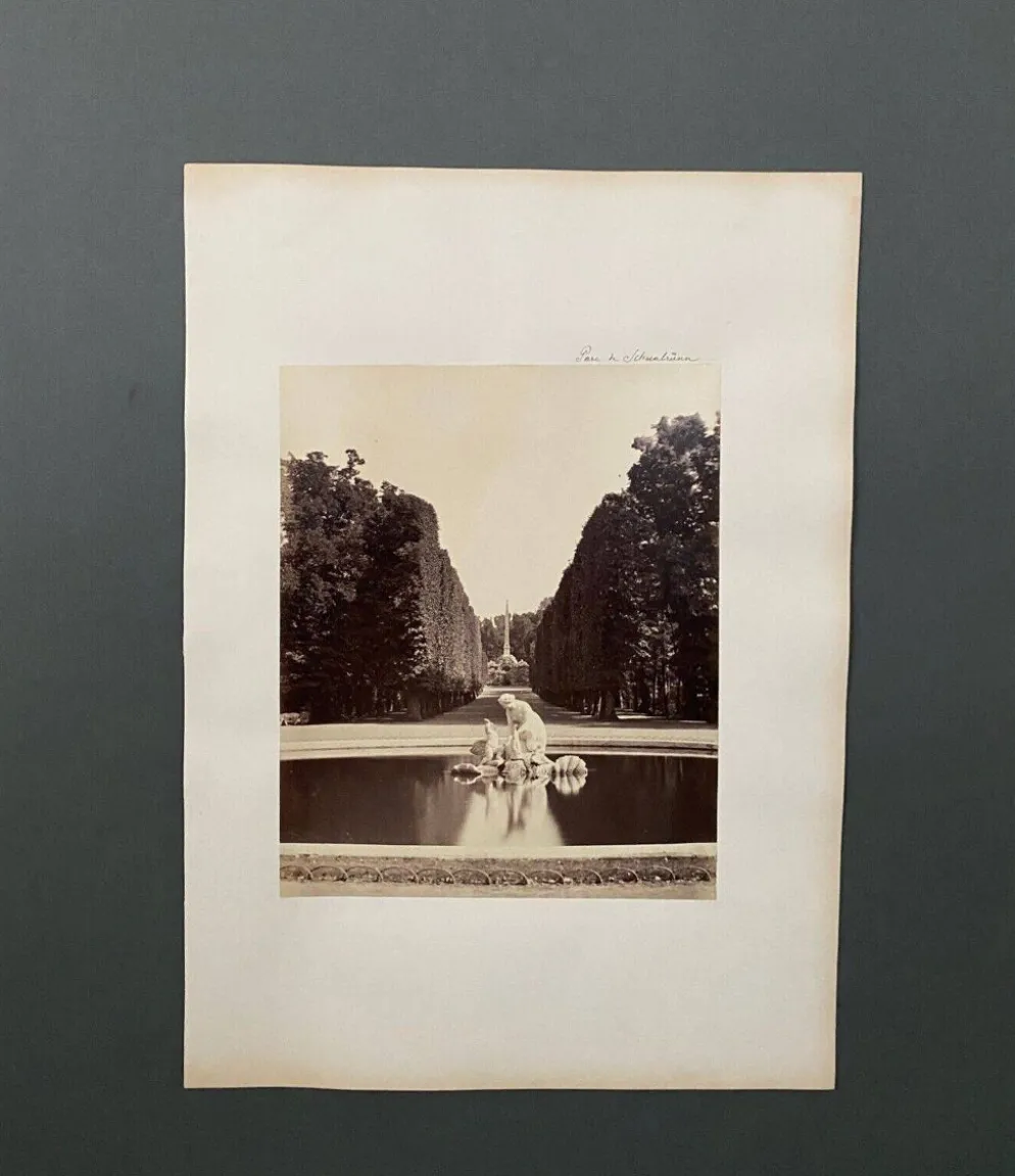 Photo Parc de Schoenbrunn XIXe albumine carton contrecollé