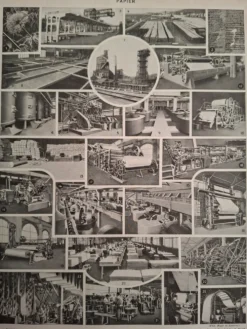 Planche originale, Papillons d'Europe