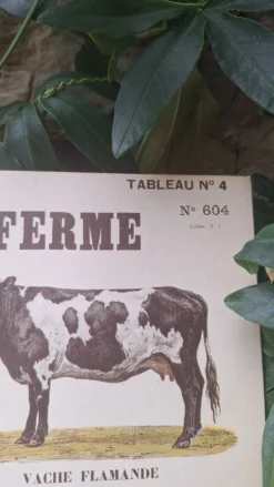 Planche pédagogique
