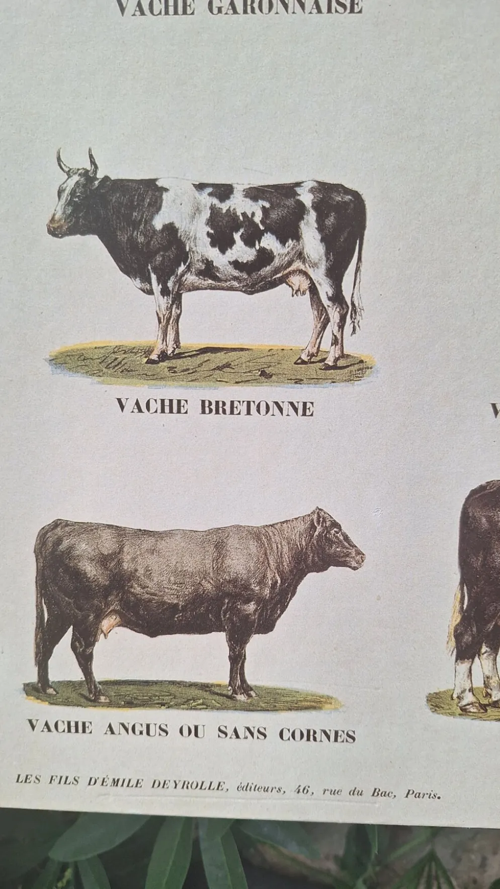 Planche pédagogique