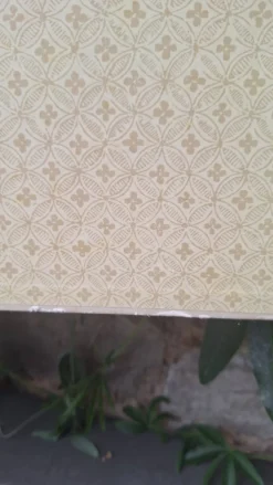 Planche pédagogique