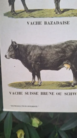 Planche pédagogique