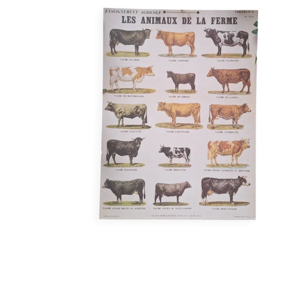 Planche pédagogique