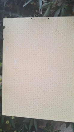 Planche pédagogique