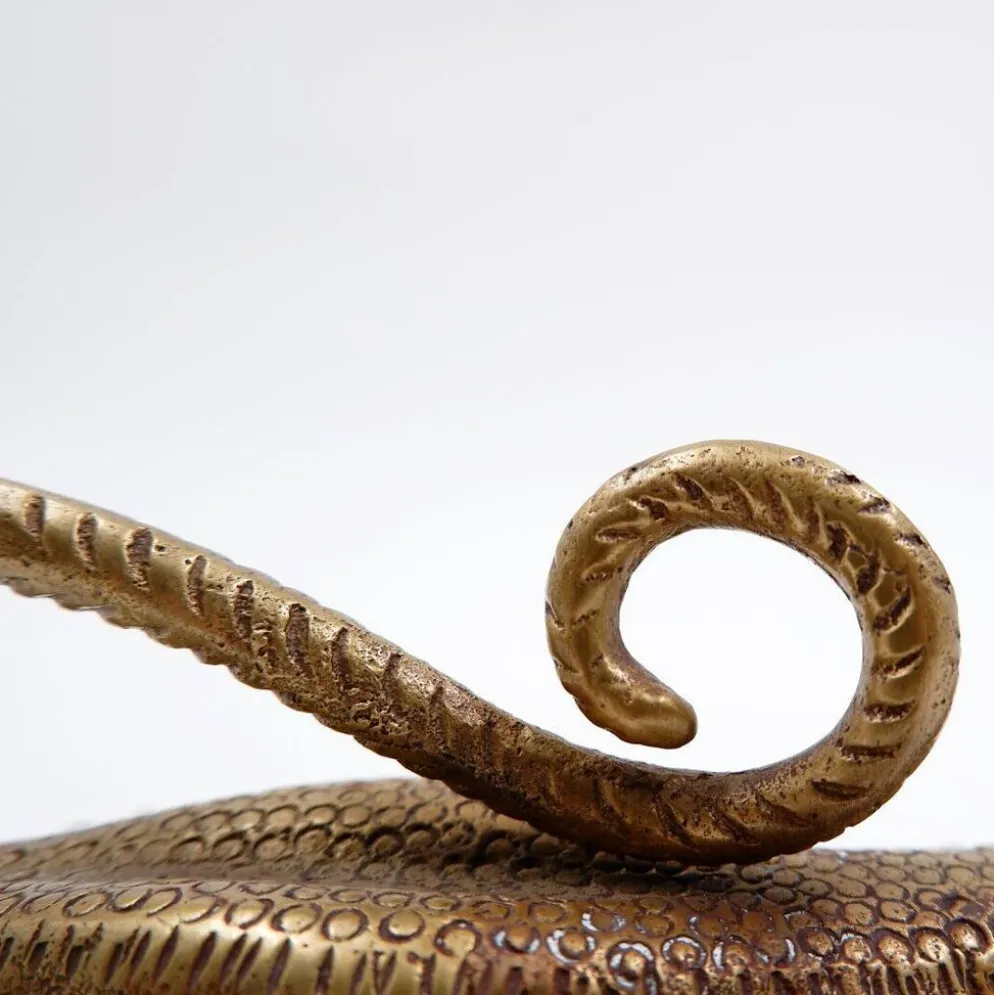 Poignée en laiton en forme de lézard de Komodo