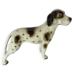 Pointer Anglais