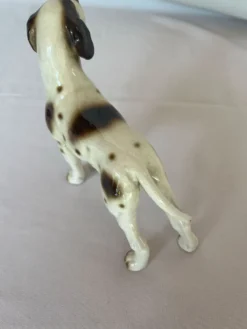 Pointer Anglais