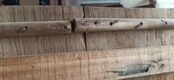 Porte ancienne en bois