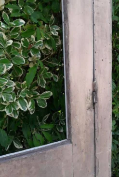 Porte ancienne vitrée 211,5x105,5cm et son cadre porte d'entrée