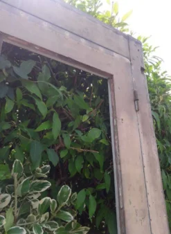 Porte ancienne vitrée 211,5x105,5cm et son cadre porte d'entrée