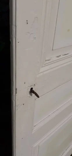 Porte de placard h221xl89,5cm ancienne panneautée, moulurée
