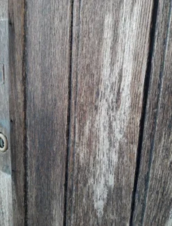 Porte double d’entrée 227x142,2cm chêne serrure multipoints et son cadre