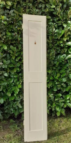 Porte h220x42cm étroite de placard ancienne panneautée moulurée
