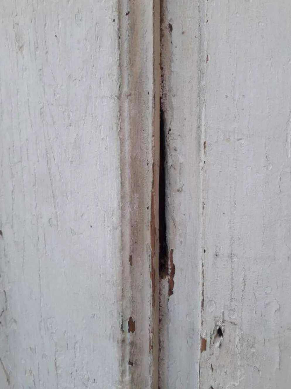 Porte H186,5xL75cm moulurée XVIII°intérieure