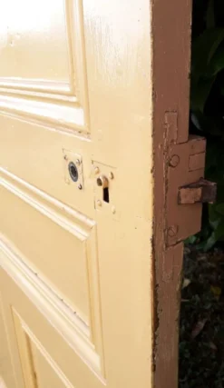 Porte palière 210,3x85,6cm ancienne moulurée