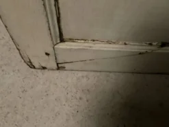 Porte vitrée ancienne L 92 x H 205