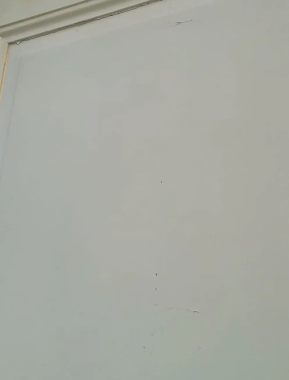 Porte 229,2x79,2cm de placard ancienne