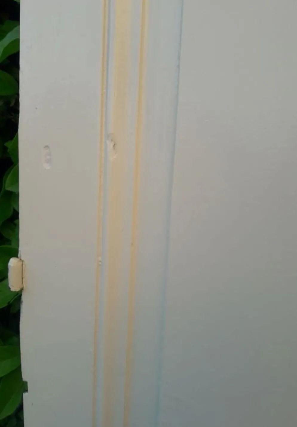 Porte 229,2x79,2cm de placard ancienne