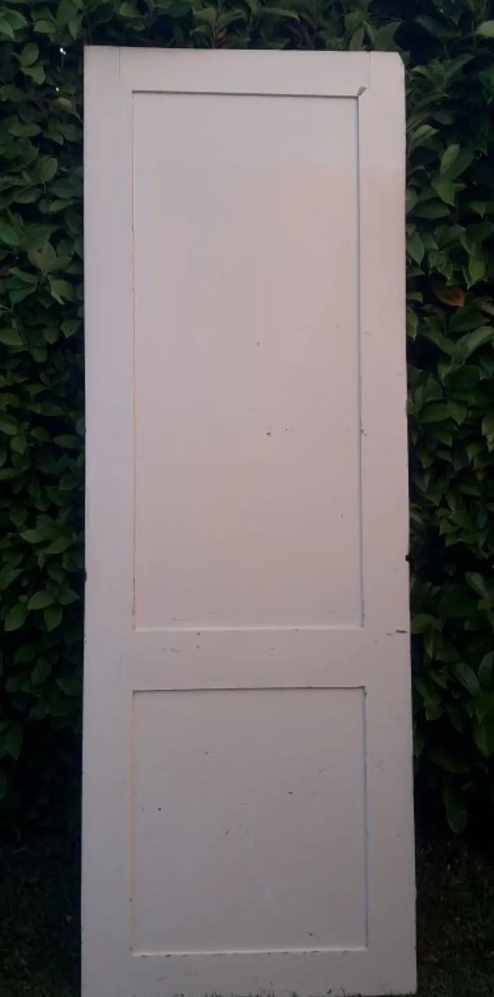 Porte 229,2x79,2cm de placard ancienne