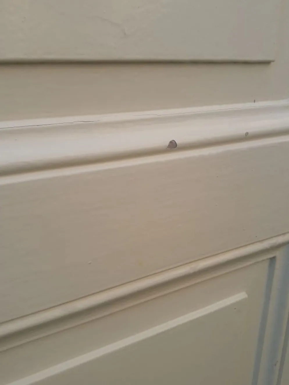 Porte 229,2x79,2cm de placard ancienne