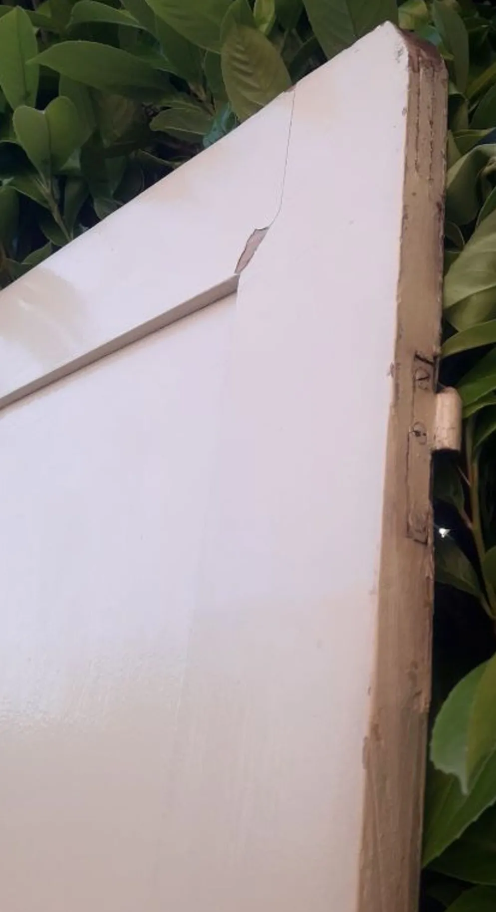 Porte 229,2x79,2cm de placard ancienne