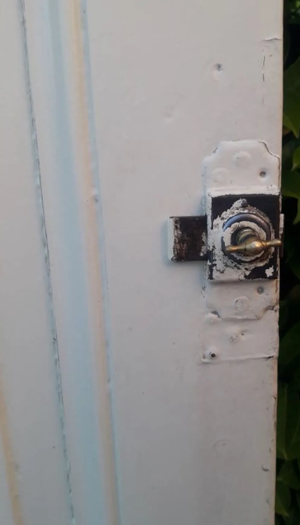 Porte 229,2x79,2cm de placard ancienne