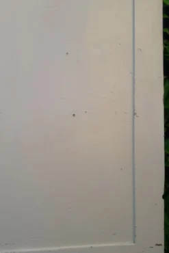 Porte 229,2x79,2cm de placard ancienne