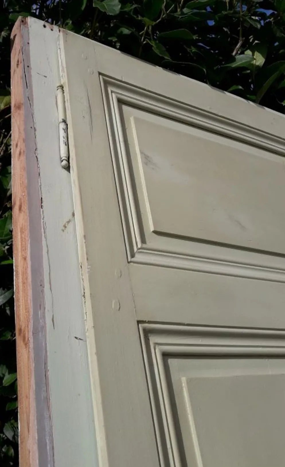 Porte 67.2x237.2cm de placard et son cadre
