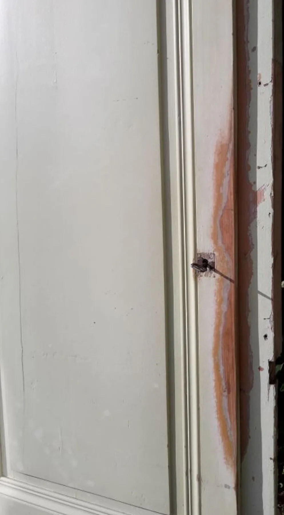 Porte 67.2x237.2cm de placard et son cadre