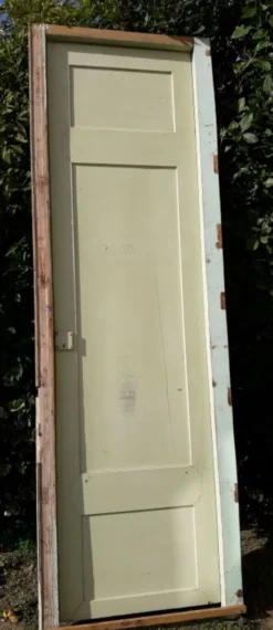 Porte 67.2x237.2cm de placard et son cadre