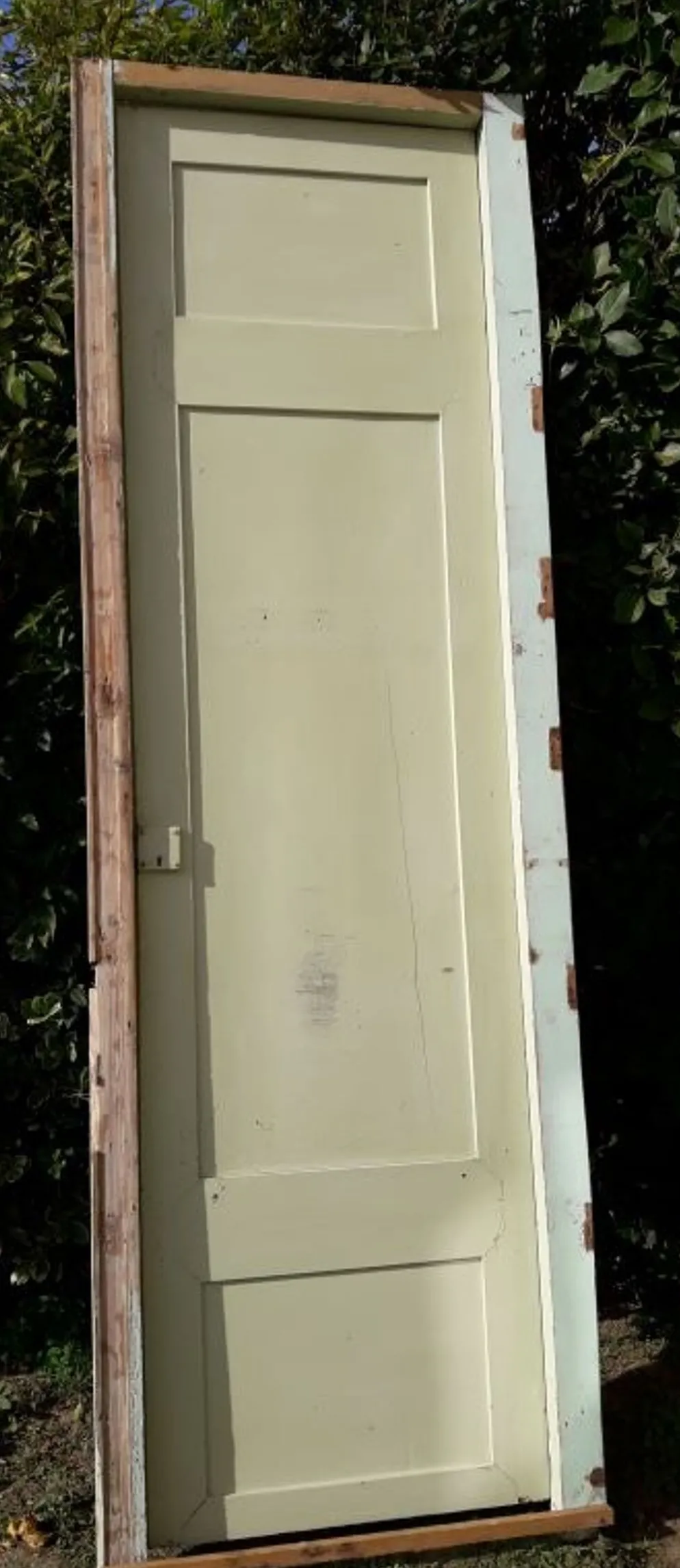 Porte 67.2x237.2cm de placard et son cadre