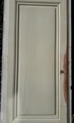 Porte 67.2x237.2cm de placard et son cadre