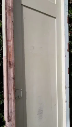 Porte 67.2x237.2cm de placard et son cadre