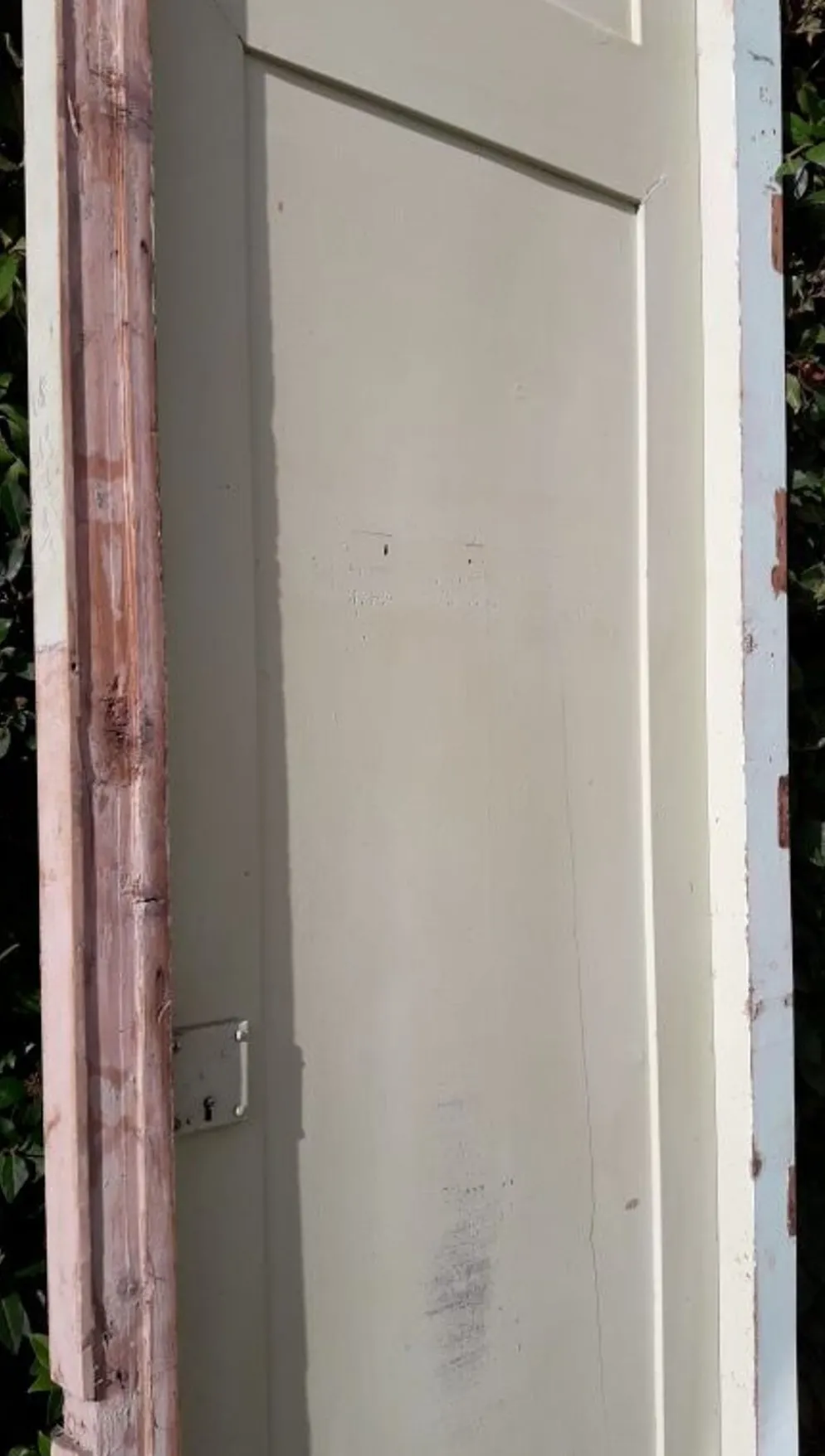 Porte 67.2x237.2cm de placard et son cadre