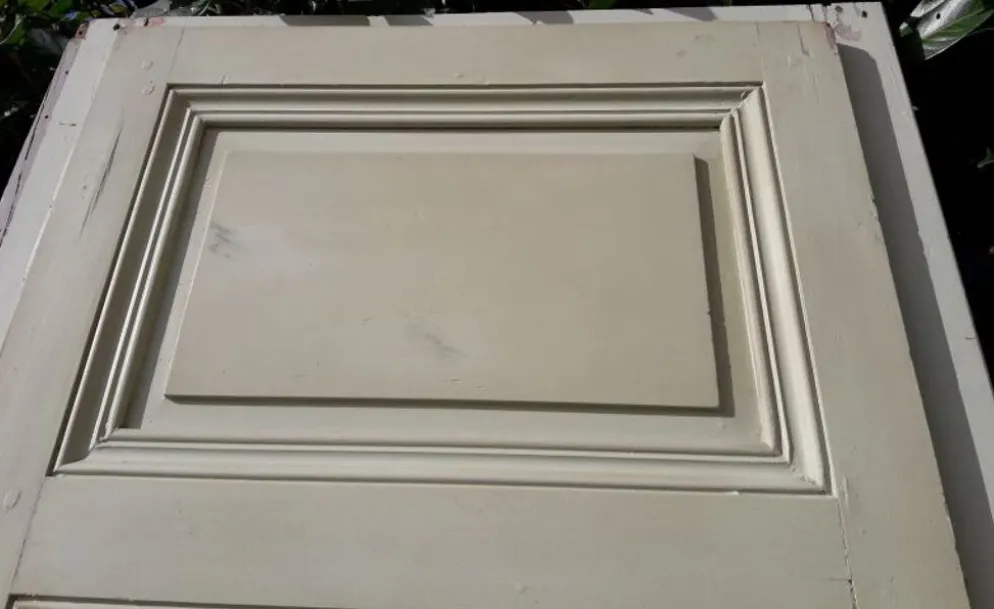 Porte 67.2x237.2cm de placard et son cadre