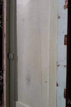 Porte 67.2x237.2cm de placard et son cadre