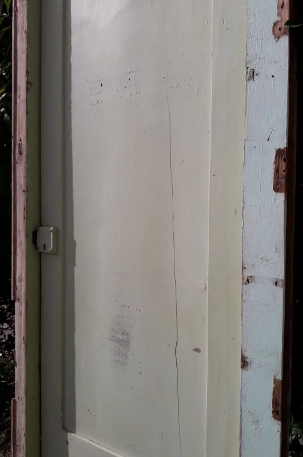 Porte 67.2x237.2cm de placard et son cadre