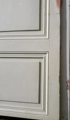 Porte 67.2x237.2cm de placard et son cadre