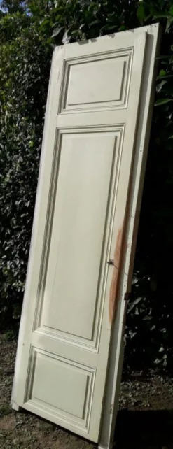 Porte 67.2x237.2cm de placard et son cadre