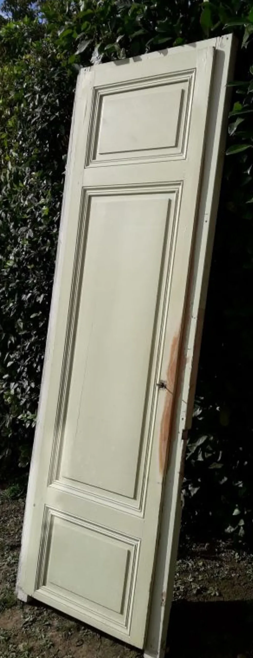 Porte 67.2x237.2cm de placard et son cadre