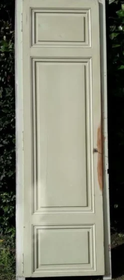 Porte 67.2x237.2cm de placard et son cadre