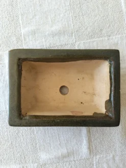 Pot bonsaï ou cactus rectangulaire vert